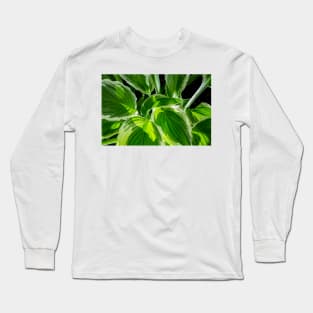 Hosta Leaves In The Rain 8 Long Sleeve T-Shirt